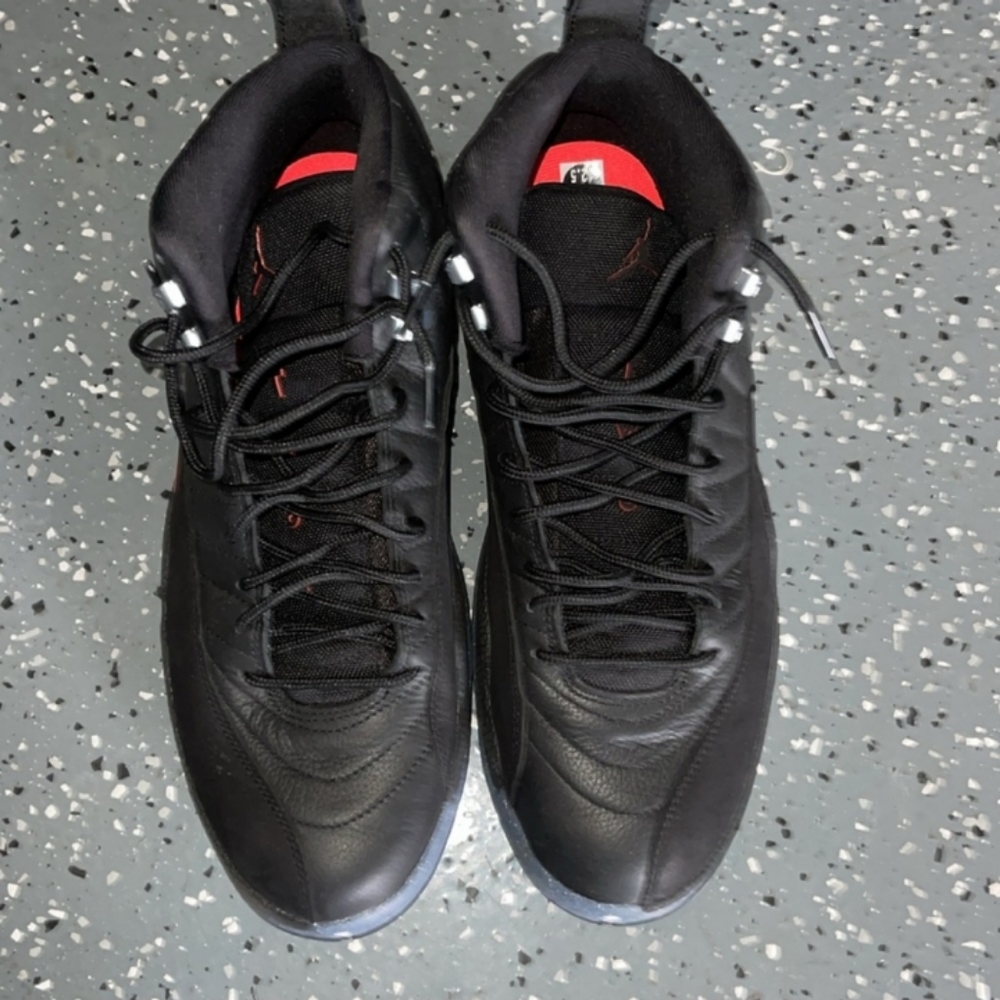 Air jordan retro 12